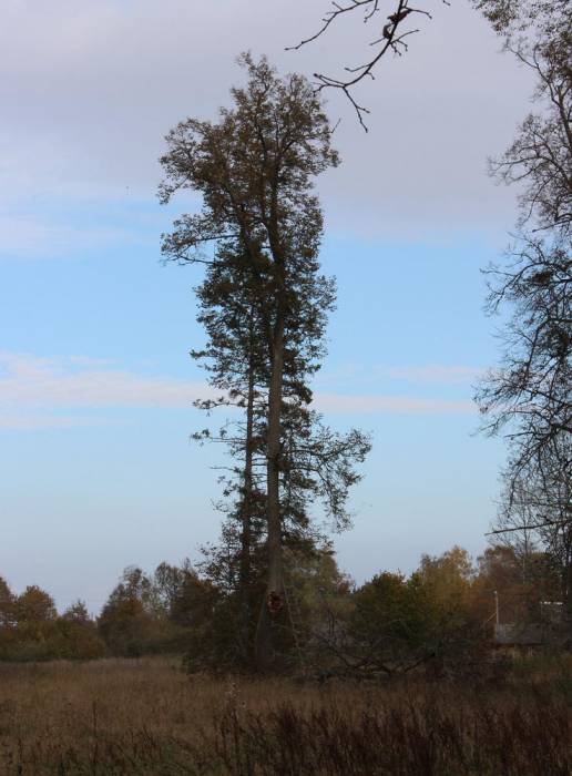 Leonpol. Zespół dworsko-parkowy Łopacińskich