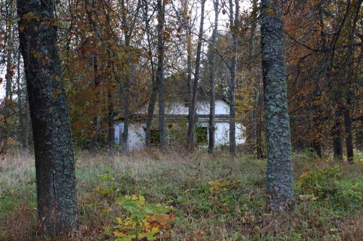 Leonpol. Zespół dworsko-parkowy Łopacińskich