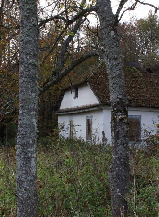 Leonpol. Zespół dworsko-parkowy Łopacińskich