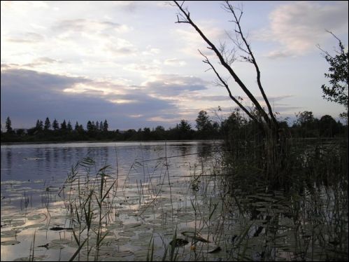  - Krajobrazy . Jezioro Trubianiec, 23.06.2006 r