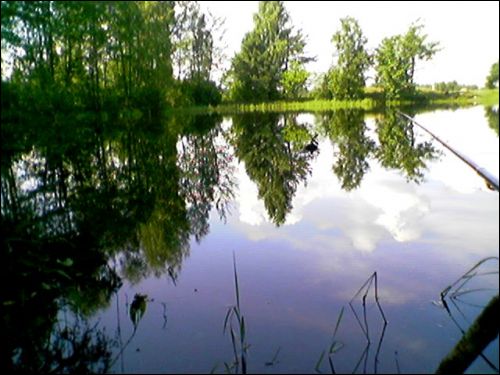  - Краявіды . Сажалка