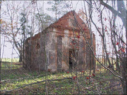 Шынаўшчына. Капліца (руіны)