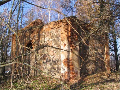 Šynaŭščyna. Chapel (ruins)