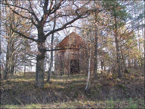 Šynaŭščyna. Chapel (ruins)