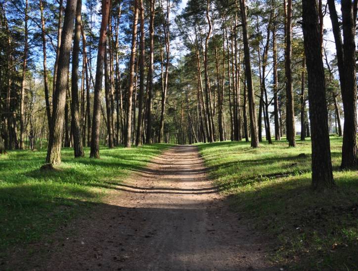 Woropajewo.  Park dworski 
