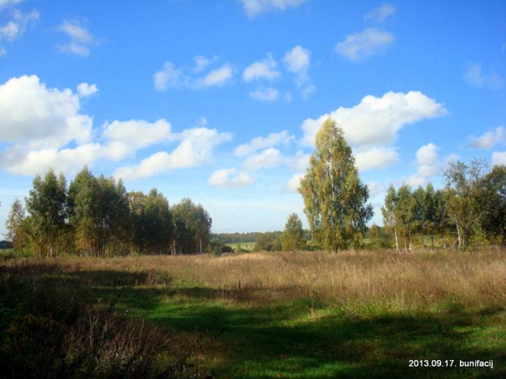 Базылёўка. Краявіды 