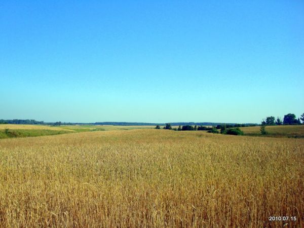 Biezdziedowicze. Krajobrazy 