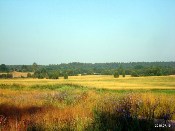  - Пейзажи . Просторы