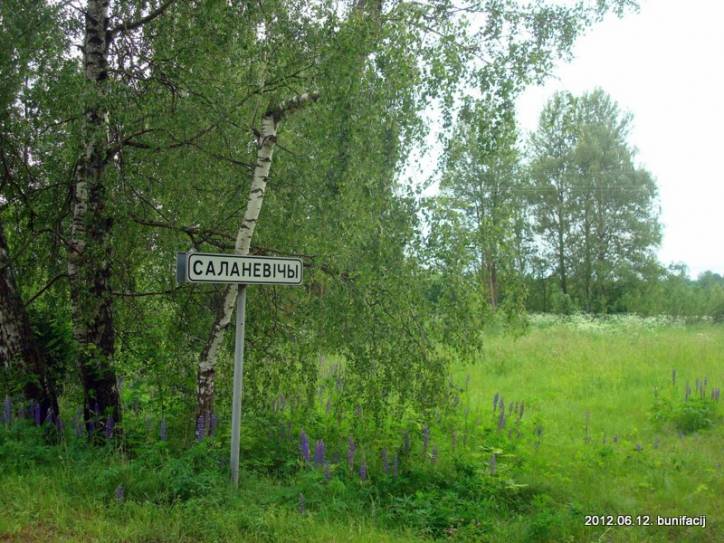  - Краявіды . 
