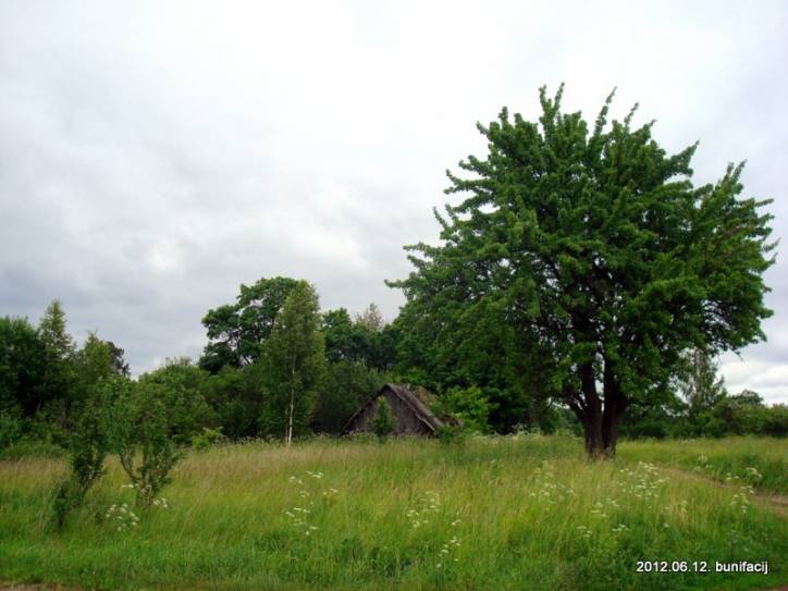  - Краявіды . 