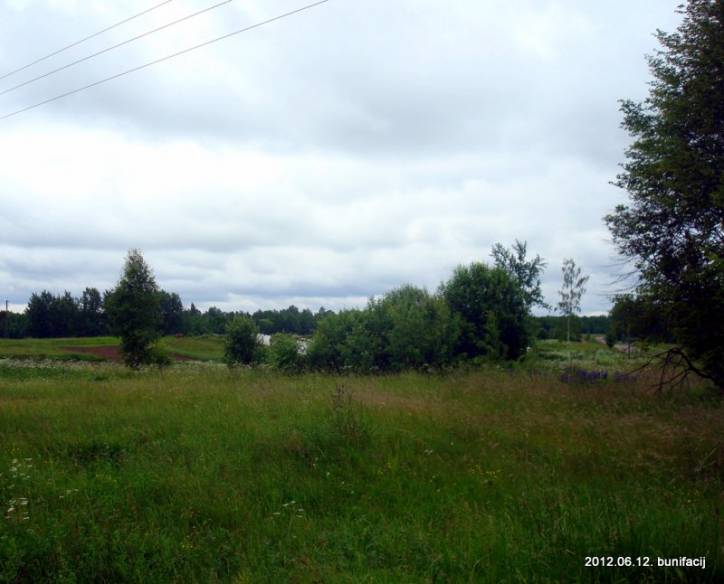  - Краявіды . 