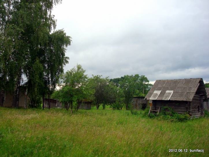 Саланевічы. Краявіды 