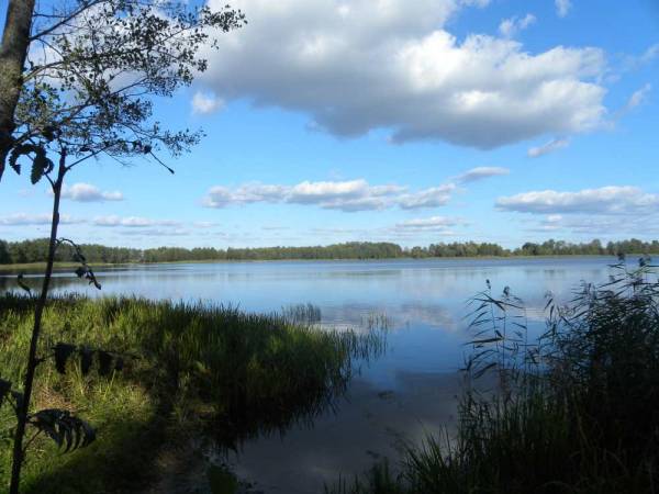 Телеханы. Пейзажи 