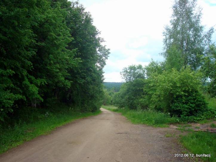  - Пейзажи . Дорога через деревню