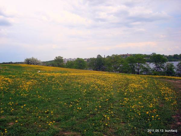 Vietryna. Landscapes 