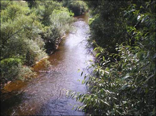 Zacharničy. Landscapes 
