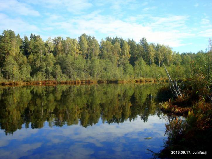  - Пейзажи . Озеро Захарничи недалеко от усадьбы