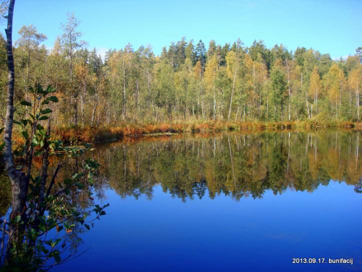  - Пейзажи . Озеро Захарничи