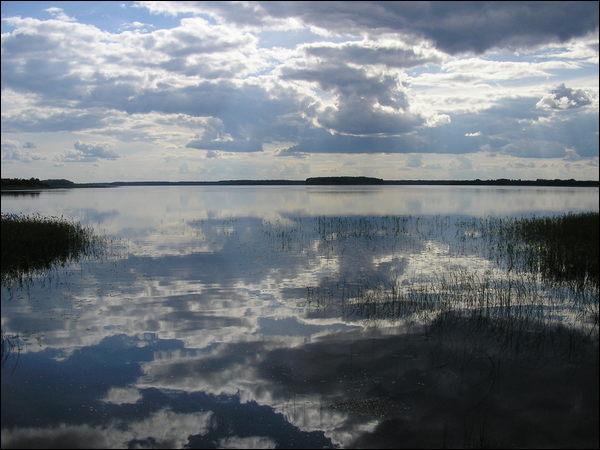 Краявіды  Гарбачэве.   - Краявіды .