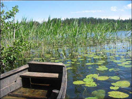 Краявіды  Гарбачэве. На возеры  - Краявіды . На возеры