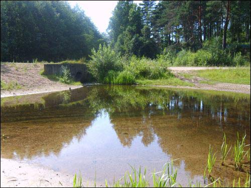 Краявіды  Гарбачэве.   - Краявіды .