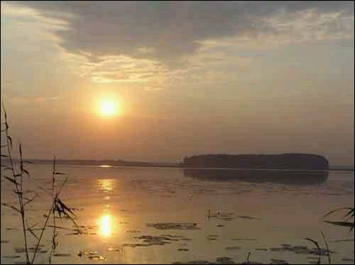 Краявіды  Гарбачэве. воз. Нешчарда  - Краявіды . воз. Нешчарда