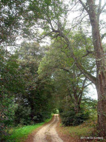 Landscapes  .   - Landscapes .