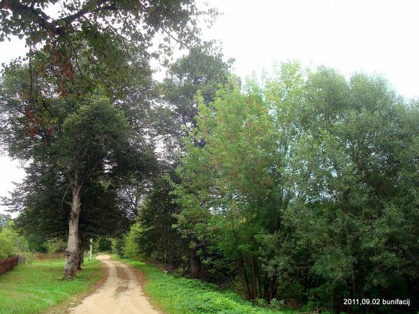 Landscapes  .   - Landscapes .