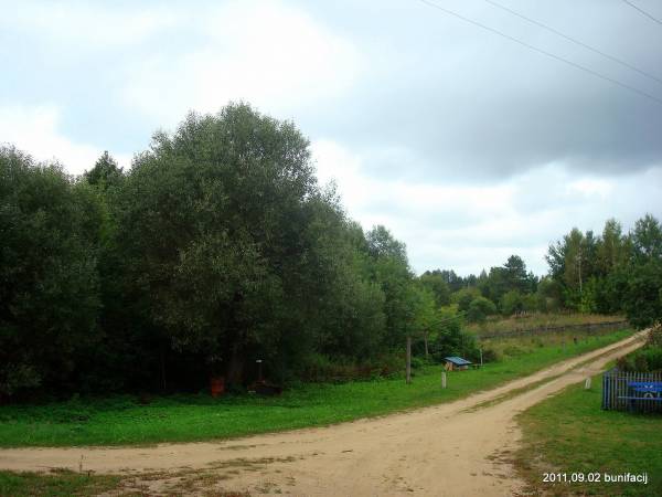 Landscapes  .   - Landscapes .