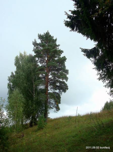 Landscapes  .   - Landscapes .