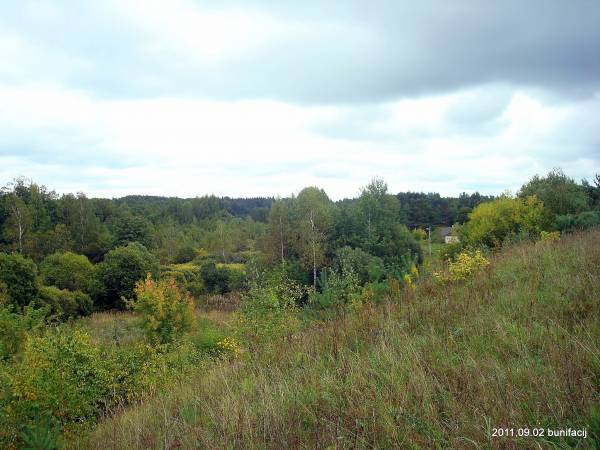 Landscapes  .   - Landscapes .