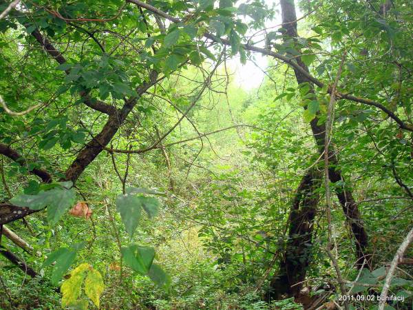 Landscapes  .   - Landscapes .