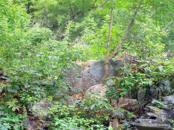 Landscapes  .   - Landscapes .