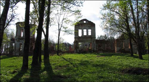 Płamia (Bielica Stara). Zespół dworsko-parkowy Świackich