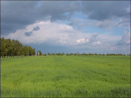 Kochanowo. W miasteczku 