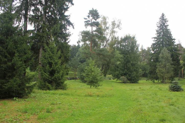 Рацава. Прысядзібны парк пры былой сядзібе Замойскіх