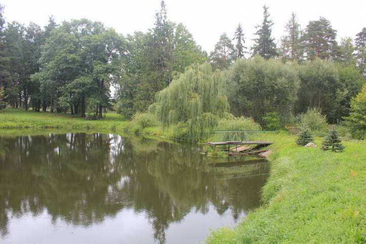  - Park dworski Zamoyskich. 