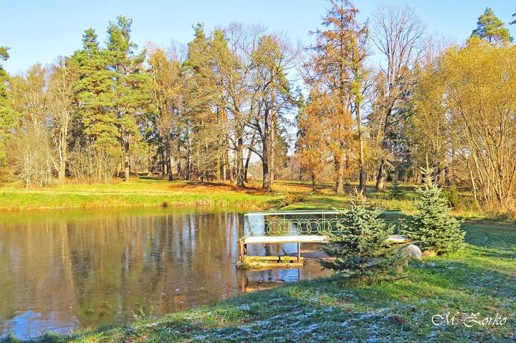  - Park dworski Zamoyskich. 