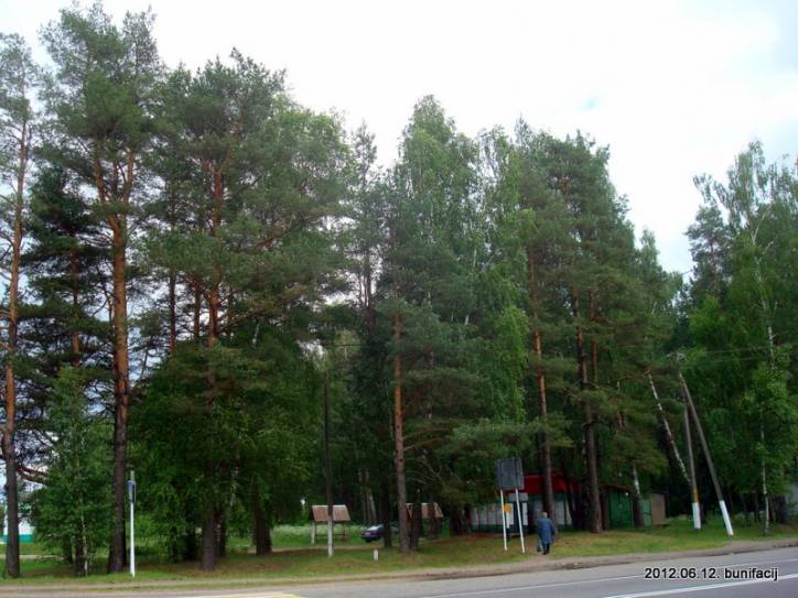 Saročyna. Landscapes 