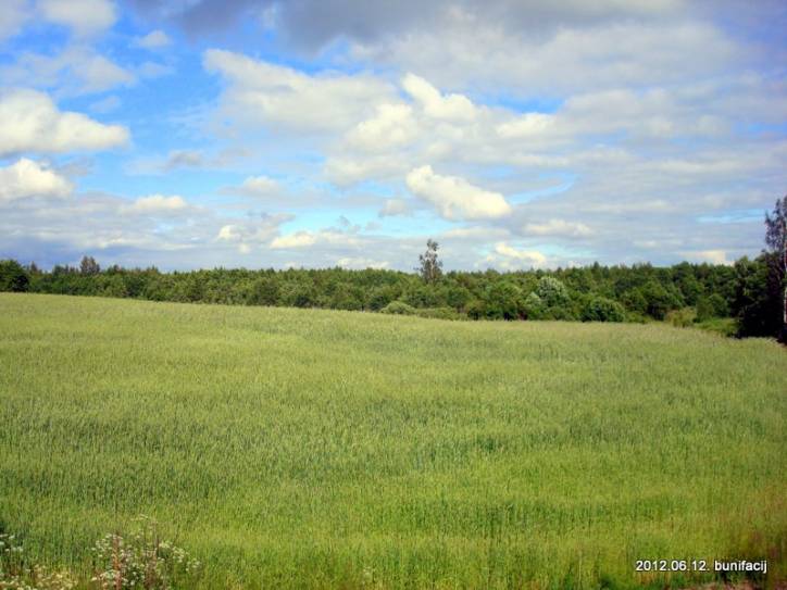 Saročyna. Landscapes 
