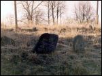 Ушачи Кладбище еврейское