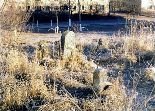 Ушачи. Кладбище еврейское