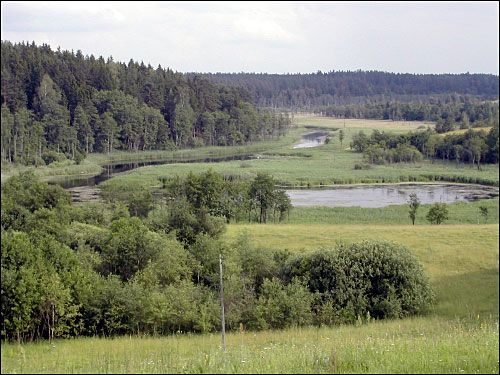 Ушачи. Пейзажи 