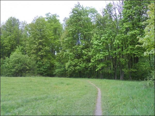 Park Oświej. Krajobrazy