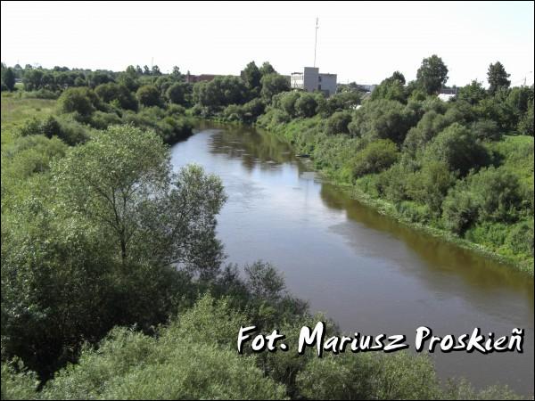  - Краявіды . 