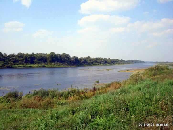  - Краявіды . 