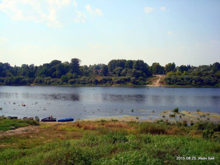  - Краявіды . 