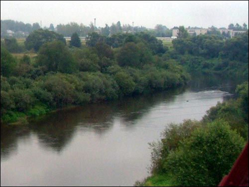  - Краявіды . р. Дрыса