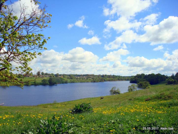  - Краявіды . 