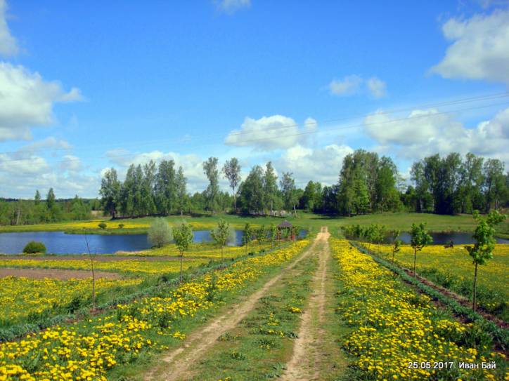  - Краявіды . 